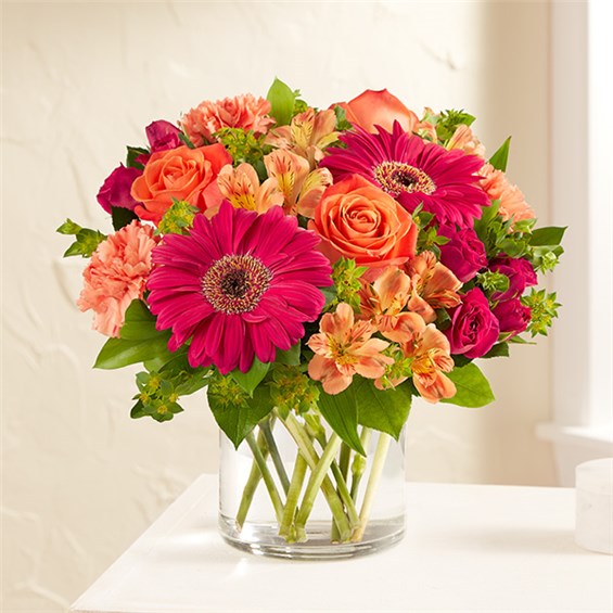 167549m_HR_fd_08_20_18